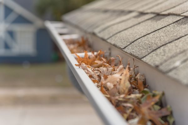 Leaf Barrier Installation in Sun Prairie