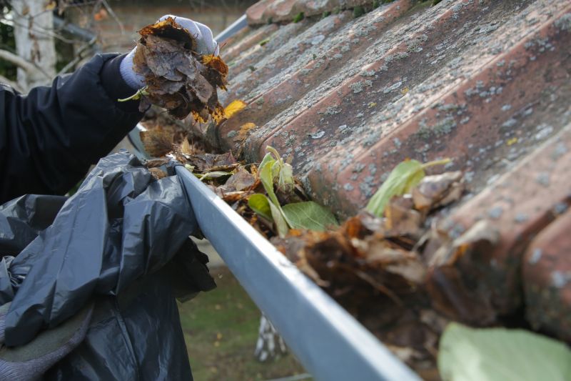 Leaf and Debris Prevention