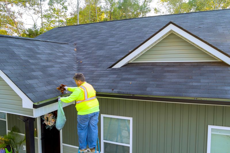 Consultants for Gutter Protection